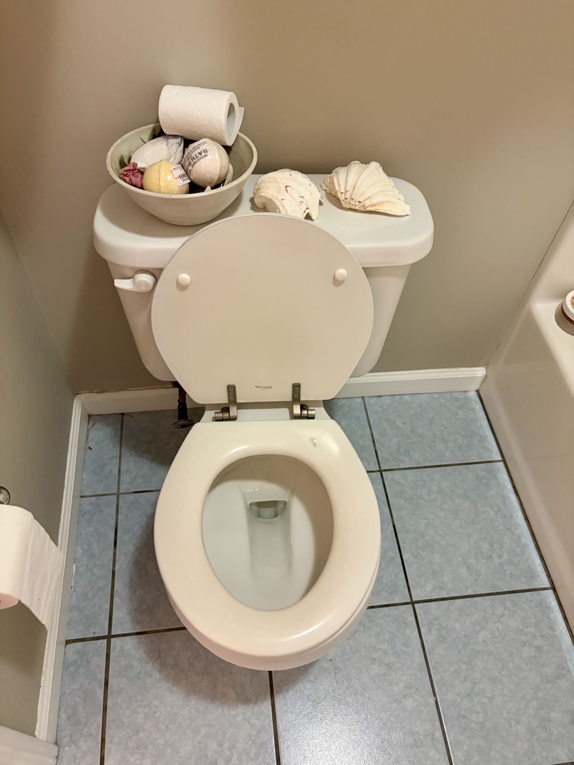 Toilet after cleaning