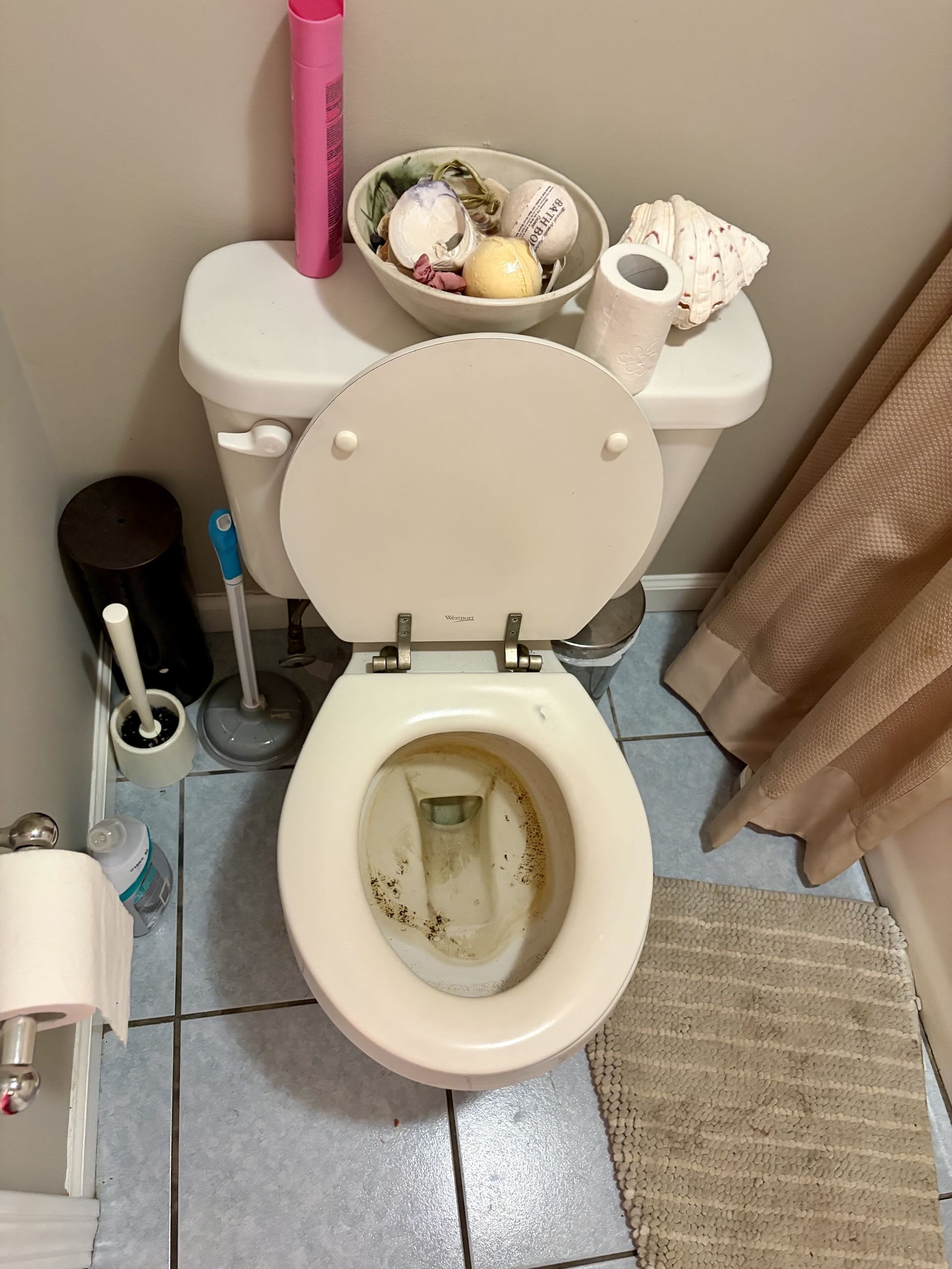 Toilet before cleaning